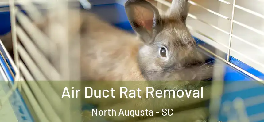  Air Duct Rat Removal North Augusta - SC
