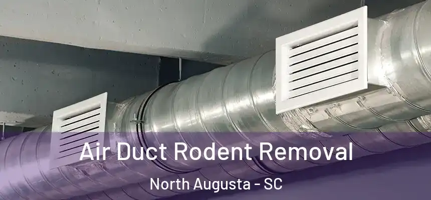  Air Duct Rodent Removal North Augusta - SC