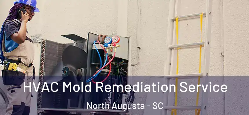  HVAC Mold Remediation Service North Augusta - SC