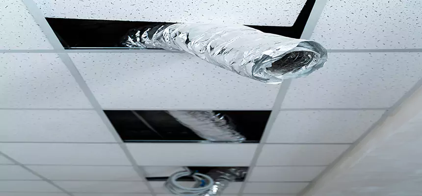 Affordable HVAC Sanitizing After Pest Removal in North Augusta