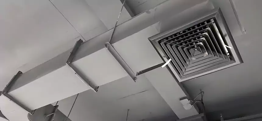 Restorative Allergy Relief Vent Cleaning – Coil, Blower & Housing Detail in North Augusta