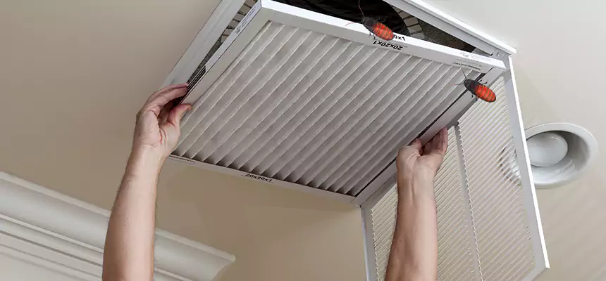 Our Insect Removal from Air Ducts Services in North Augusta, SC