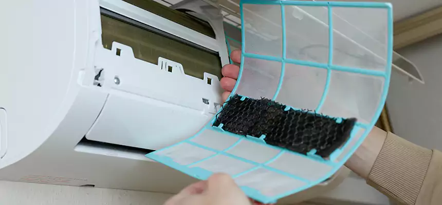 Gentle Ductwork Odor-Control Pet Dander Duct Cleaning in North Augusta, SC