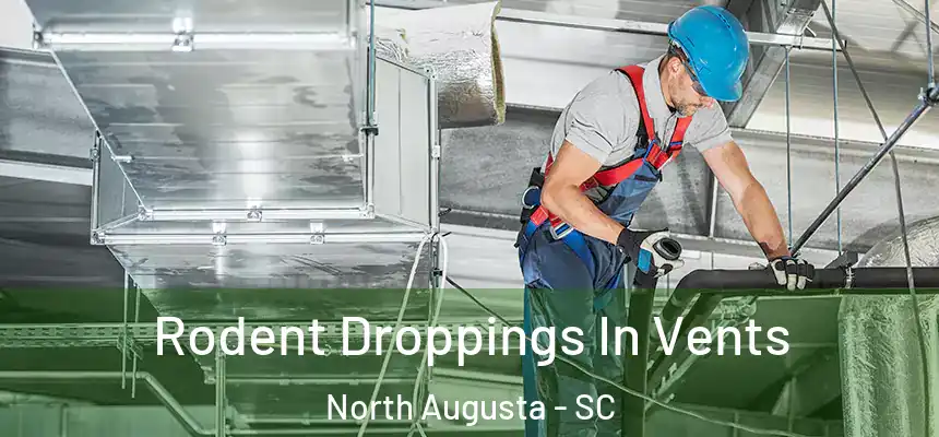  Rodent Droppings In Vents North Augusta - SC