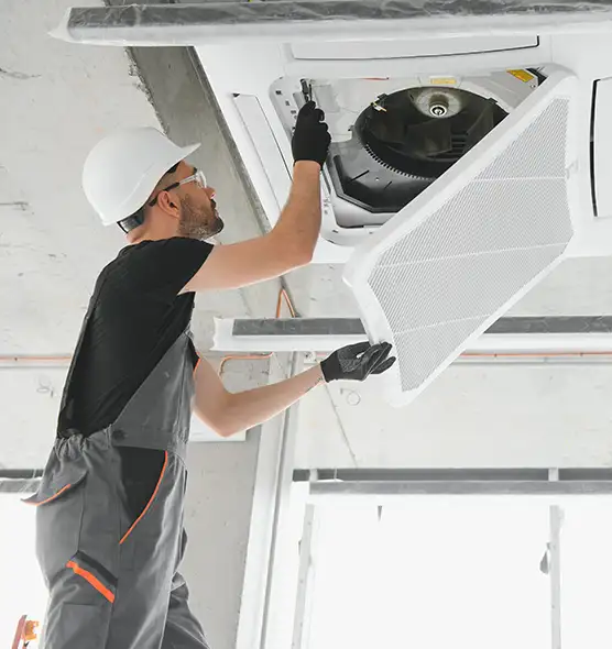 About Air Duct Rodent Removal in North Augusta, SC