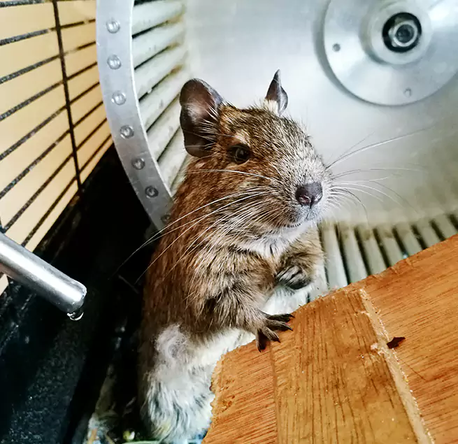 Why Homeowners & Businesses Trust Us North Augusta, SC