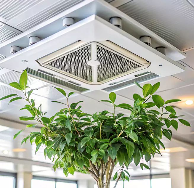 Why Homeowners & Businesses Trust Us in North Augusta, SC