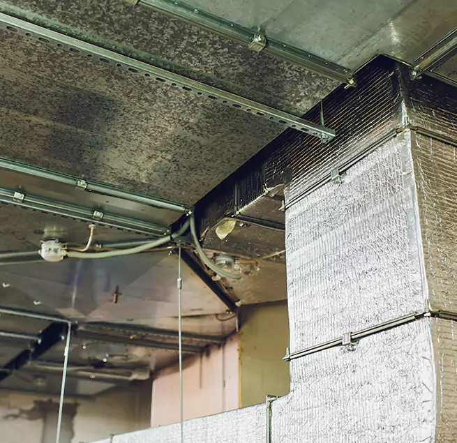 Why Homeowners & Businesses Trust Us in North Augusta, SC?